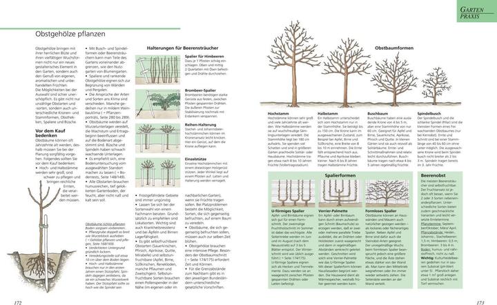 Produktbild Das grosse Gartenbuch (Deutsch, Jürgen Becker, 2016)