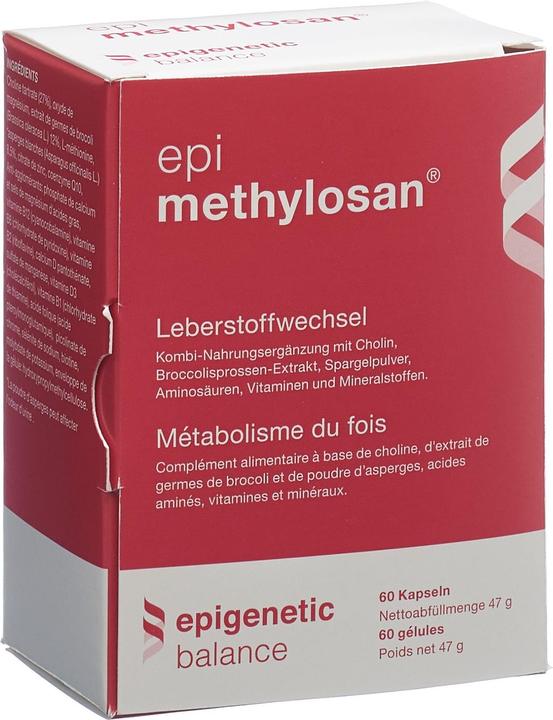 Methylosan Kapseln (60 Stück, Kapseln, 60 g)
