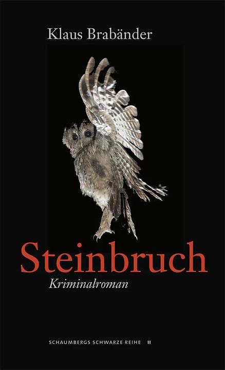 Actual product image Steinbruch (German, Klaus Brabänder, 2015)