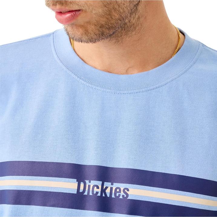 Actual product image Dickies Tom Knox Longsleeve (S)
