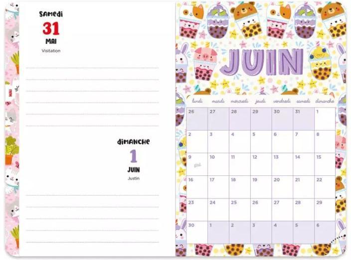 Image du produit Auzou France Mon année super kawaii 2024-2025 : avec des stickers inclus!