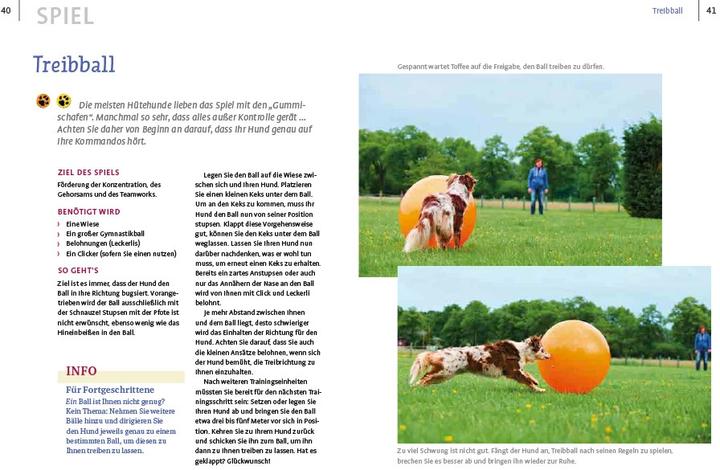 Produktbild Spiele und Action für ausgeglichene Hütehunde (Deutsch, Marion Albers, 2023)