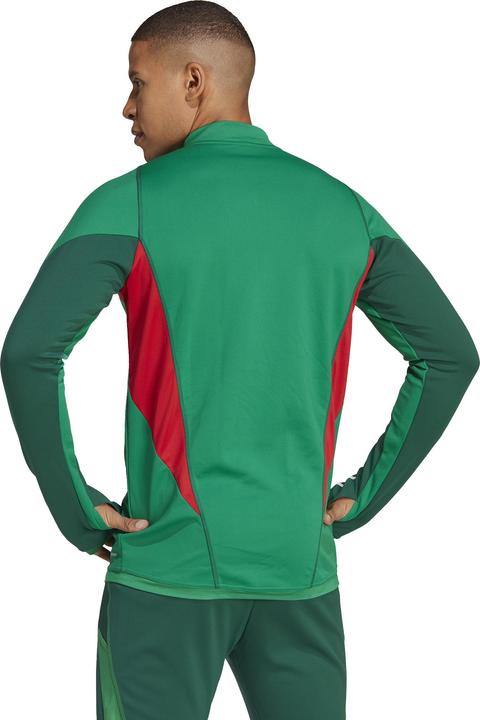 Actual product image adidas Mexico Training Top (L)