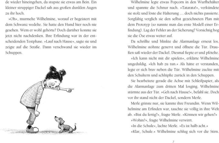 Actual product image Die Tierwandler 2: Alle Hasen fliegen hoch (German, Martina Baumbach, Imke Sönnichsen, 2020)