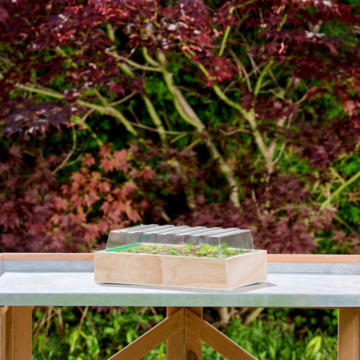 Produktbild Romberg Holz-Anzuchthaus M 37 x 24 x 13 cm