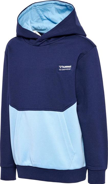 Produktbild hummel hmlEDDY HOODIE (176)
