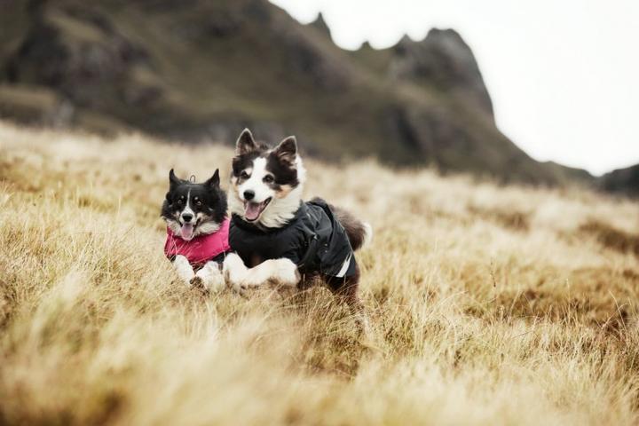 Produktbild Hurtta Summit Parka raven (55, Hundemantel)