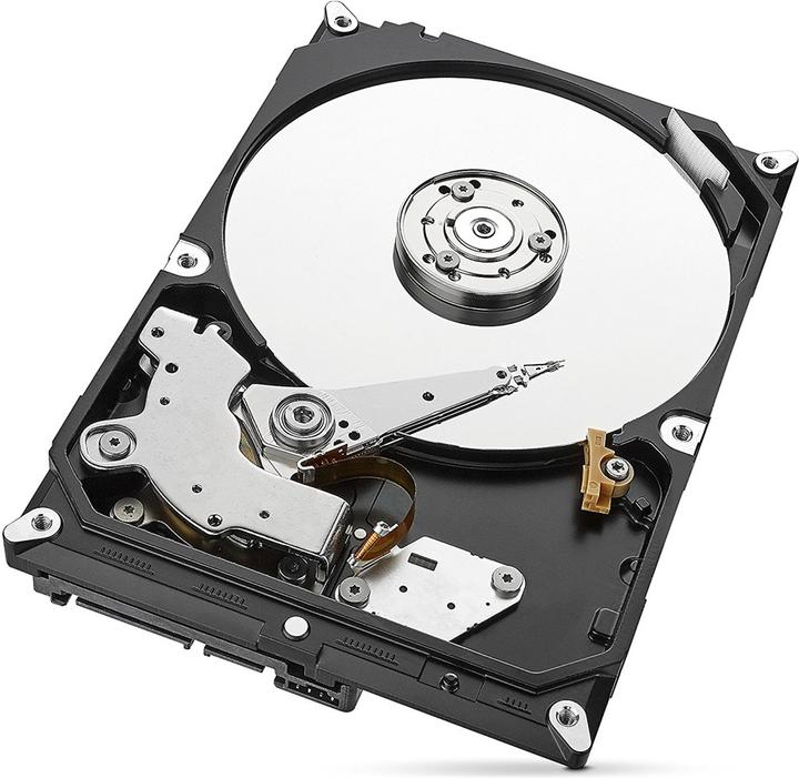 Immagine prodotto Seagate SkyHawk (6 TB, 3.5", CMR)