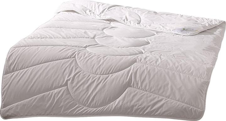 Actual product image Traumschlaf Kamelhaar Nature (2100 g, 200 x 220 cm)