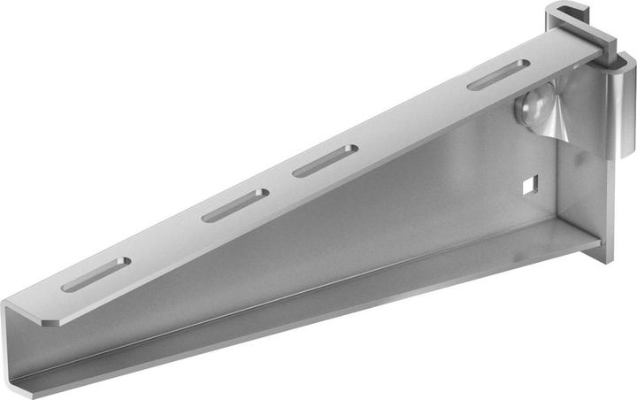 Immagine prodotto OBO Bettermann AS 55 61 FTK LGR Braccio a bastone IS 8, B610mm (Altro)