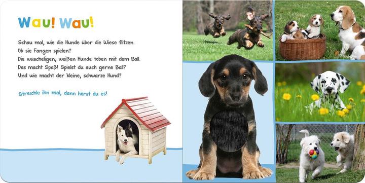 Immagine prodotto Ascolta, chi potrebbe essere? Animali preferiti (Tedesco)