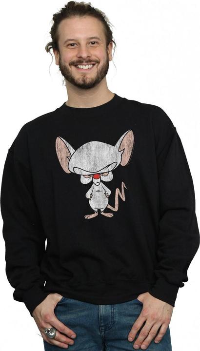 Image du produit Universal Textiles - Sweat THE BRAIN CLASSIC POSE - Homme (L)