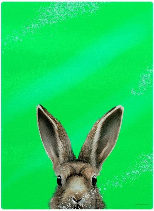 Image du produit Inquisitive Creatures Planche à découper Lapin
