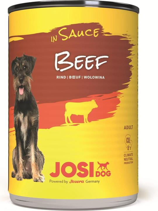Actual product image Josera Dry dog food (Adult, 1 pcs., 470 g)