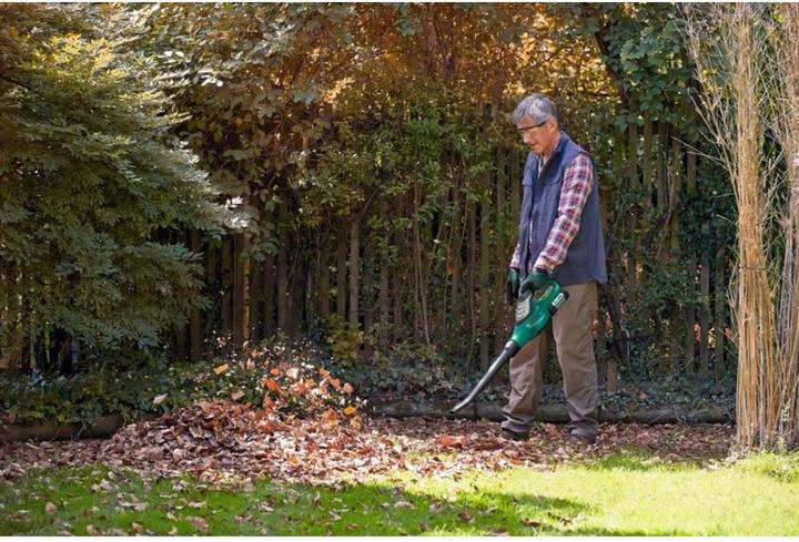 Productafbeelding Bosch Home & Garden ALB 36 LI (zonder batterij) (Oplaadbare batterij, Bladzuiger)