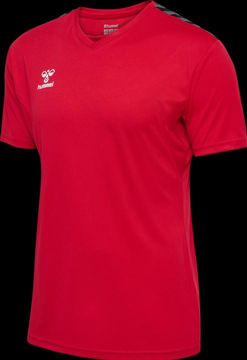 Image du produit hummel Hmlauthentic Pl Jersey S/S (XXL)