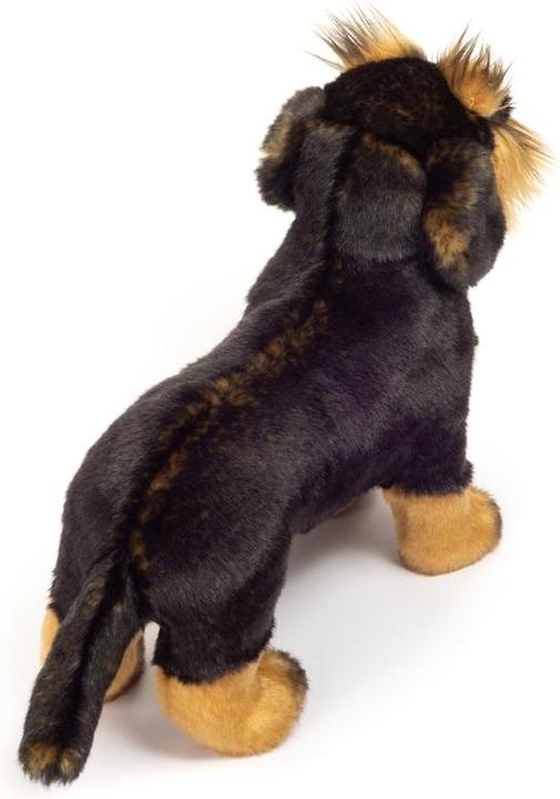 Image du produit Teddy Hermann Teckel à poil dur (20 cm)