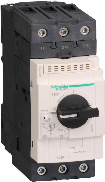 Schneider Electric Interruttore magnetotermico 48-65A