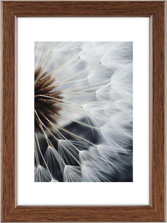 Actual product image Hama breeze (9 x 13 cm)