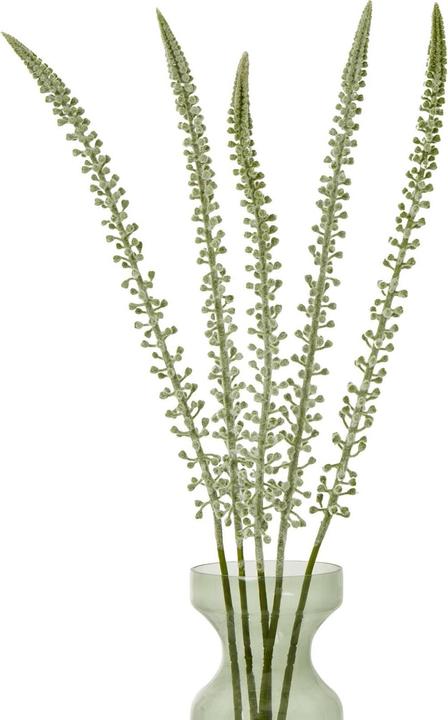 Actual product image Hill Interiors Eremurus Stem Artificial Plant (88 cm)