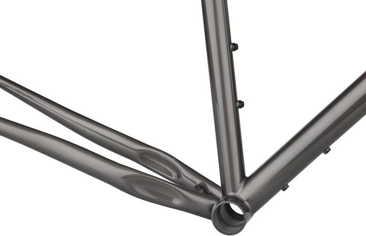 Actual product image Salsa Fargo Frame Set, 29", XS, black