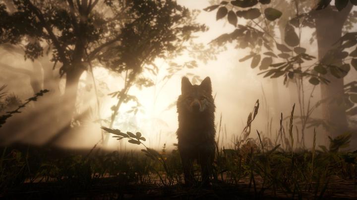 Produktbild Rockstar Red Dead Redemption 2 (PS4, DE)