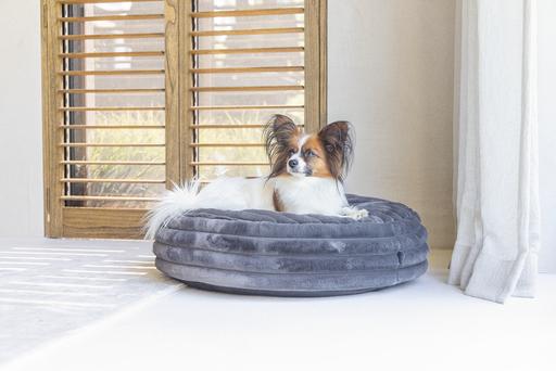 Produktbild Designed by Lotte Liegekissen Reza (Hund)