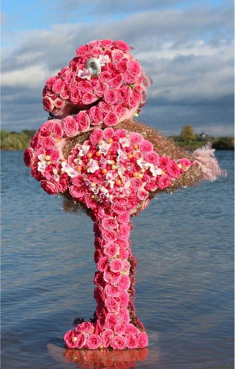 Produktbild Oasis BIOLINE Flamingo