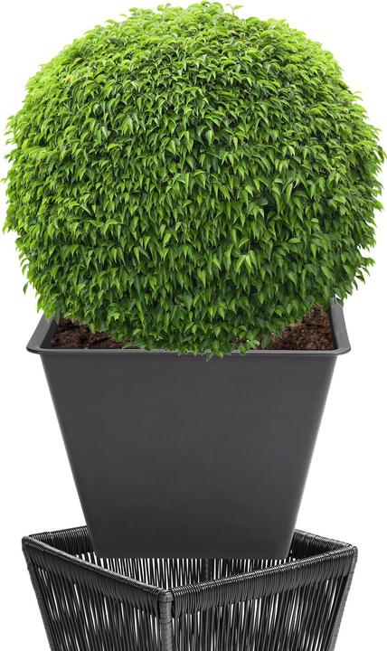 Produktbild Casaria Blumenkasten (36 cm)
