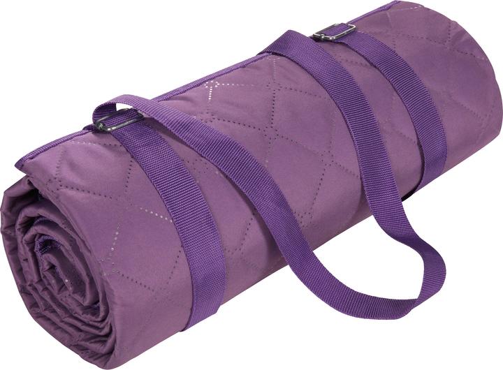 Actual product image Biederlack Picnic Blanket "Picnic