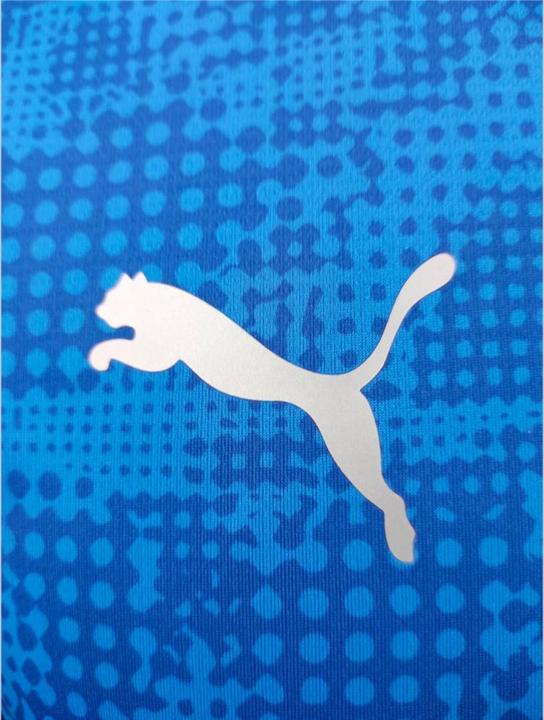 Actual product image Puma teamCUP Training Jersey (L)