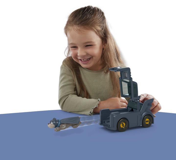 Actual product image Fisher-Price DC Super Pets