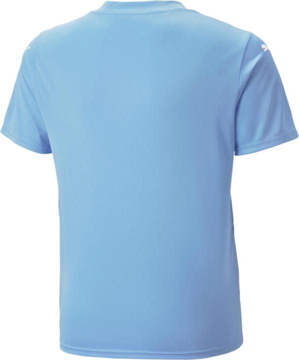 Actual product image Puma teamULTIMATE Jersey Jr (152)