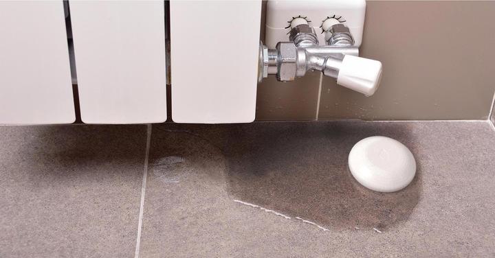 Actual product image Shelly Flood WiFi flood & temperature sensor