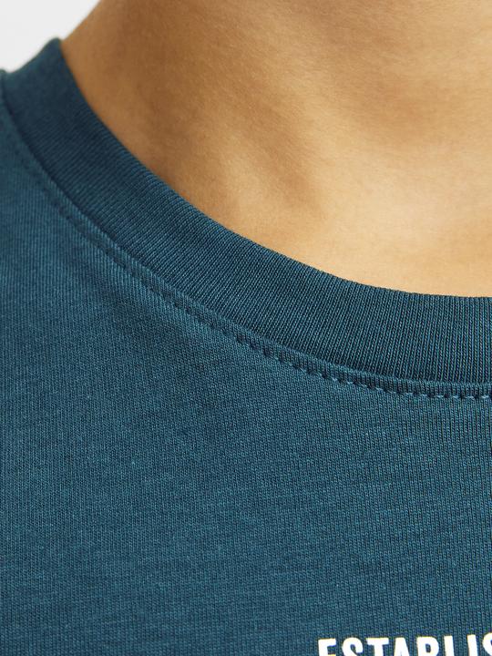 Produktbild Jack & Jones JJELOGO TEE SS ONECK 2COL 24/25 NOOS JNR (176)
