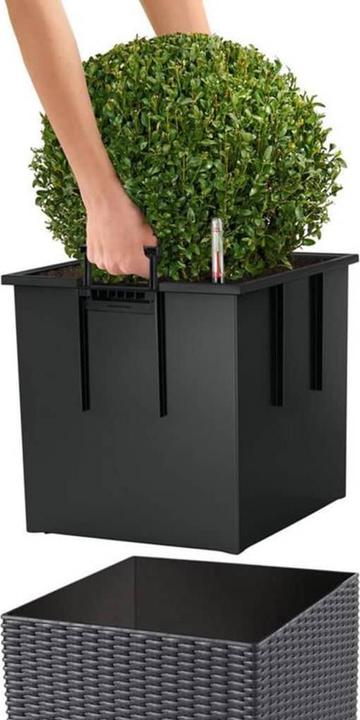 Image du produit Lechuza Cube Cottage (29.50 cm)