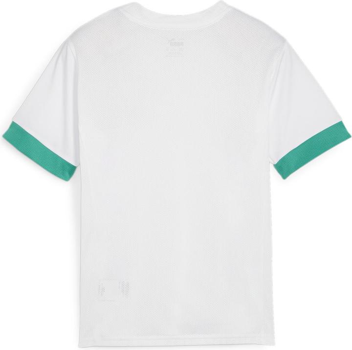 Image du produit Puma teamGOAL Matchday Jersey jr (164)