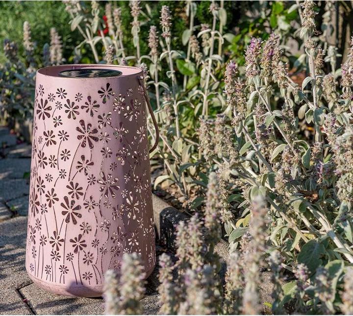 Image du produit STT Antic Daisy