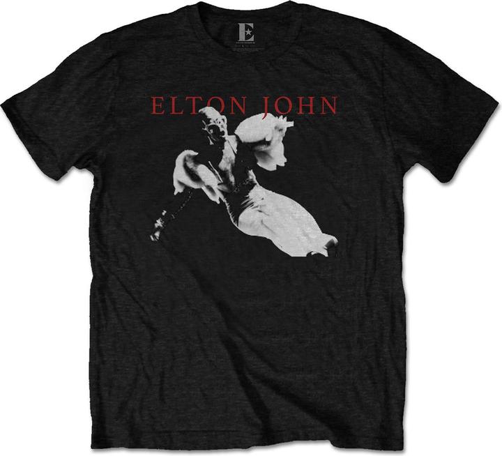 Elton John Homage 1