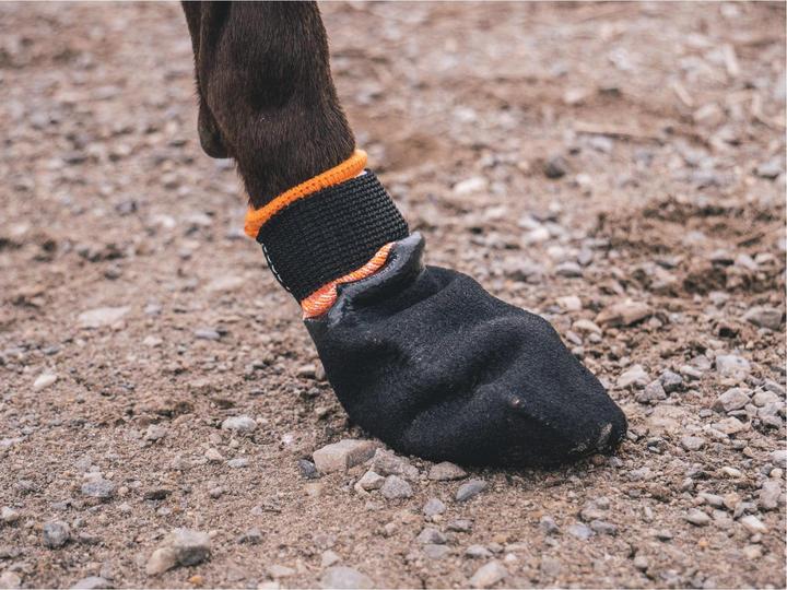 Produktbild Non-Stop Dogwear Protector Booties (XL, Hundeschuhe)