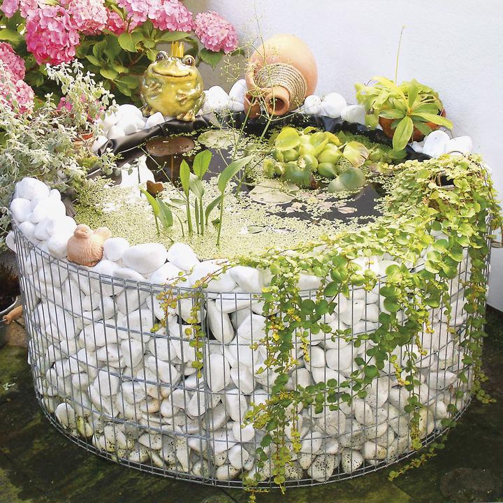 Actual product image Bellissa High Pond