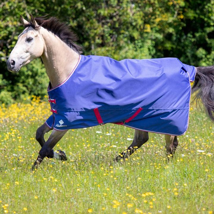 Immagine prodotto Tempest Coperta originale per cavalli Air Motion (205.74 cm)