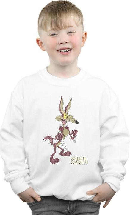 Actual product image Looney Tunes Boys Wile E Coyote Distressed Sweatshirt (140, 146)