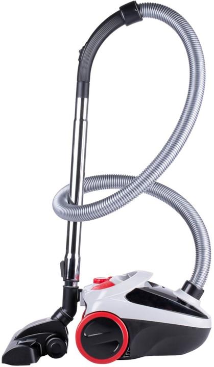 Dirt Devil Sac de nettoyage à vide 2,0l DD2001