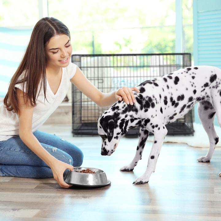 Immagine prodotto Relaxdays Gabbia per cani (Cane, Pieghevole)