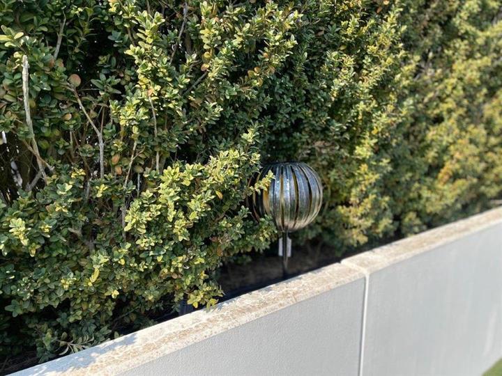 Produktbild GuGus LED Solar Leuchte