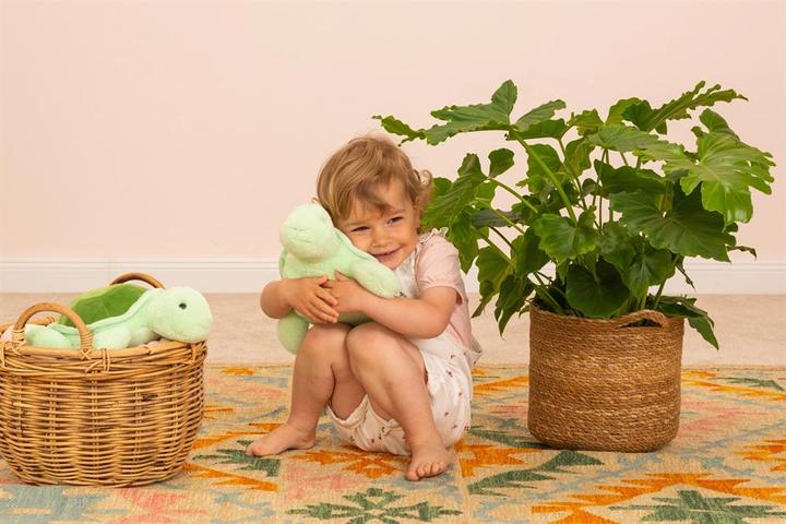 Actual product image Teddy Hermann Turtle Sandy 30cm (8 cm)