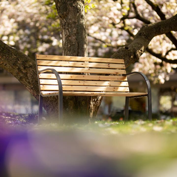 Immagine prodotto tectake Panchina da giardino Micha