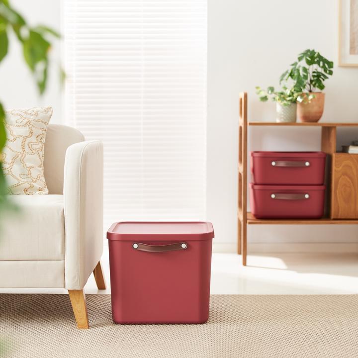 Image du produit Rotho Lot de 2 boîtes de rangement 25 l et 40 l MALOJA (40 l)