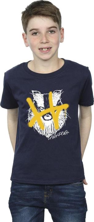 Immagine prodotto Hufflepuff Pop Spray Maglietta Ragazzi (140, 146)